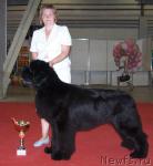 Превью фото № 5164