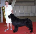 Превью фото № 5166