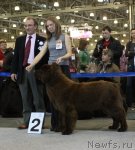 Превью фото № 51768