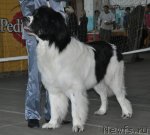 Превью фото № 51779