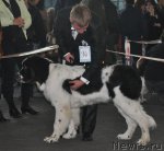 Превью фото № 51821