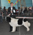 Превью фото № 51829