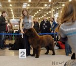 Превью фото № 51843