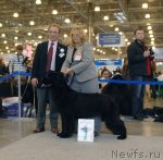 Превью фото № 51846