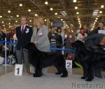 Превью фото № 51851