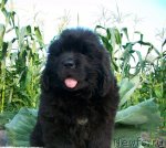 Превью фото № 51856