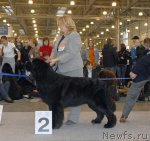 Превью фото № 51877