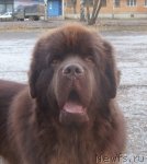 Превью фото № 51889