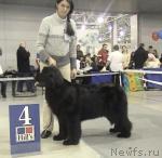 Превью фото № 5218