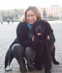 Превью фото № 52255