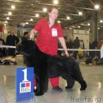 Превью фото № 5227