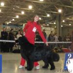 Превью фото № 5229