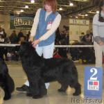 Превью фото № 5230