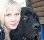 Превью фото № 52370