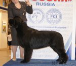 Превью фото № 52502