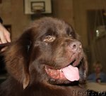 Превью фото № 52649