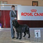 Превью фото № 52760