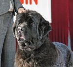 Превью фото № 52761