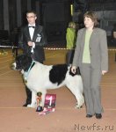 Превью фото № 52956