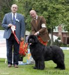 Превью фото № 53044