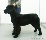 Превью фото № 53322