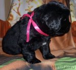 Превью фото № 53326