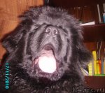 Превью фото № 53506