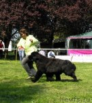 Превью фото № 53529