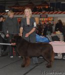 Превью фото № 53555