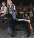 Превью фото № 53571