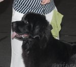 Превью фото № 53576