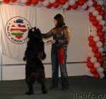 Превью фото № 53594