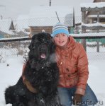 Превью фото № 53617