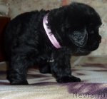 Превью фото № 53671