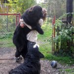 Превью фото № 53680