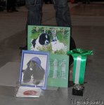 Превью фото № 53714