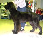 Превью фото № 53725