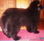 Превью фото № 53748