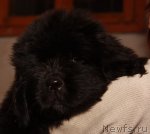 Превью фото № 53759