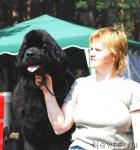 Превью фото № 5405