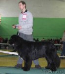 Превью фото № 54054