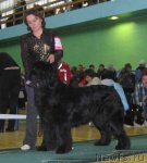 Превью фото № 54055