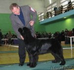 Превью фото № 54057