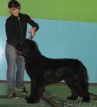 Превью фото № 54059