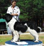 Превью фото № 5410