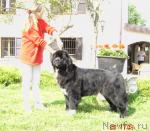 Превью фото № 5445