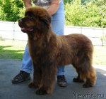 Превью фото № 54591