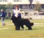 Превью фото № 5464