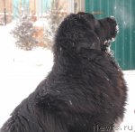 Превью фото № 54647