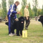 Превью фото № 5465